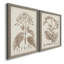 Antique sépia botanicals II, toile encadrée de qualité supérieure - prête à être accrochée-1525360195-1525360199