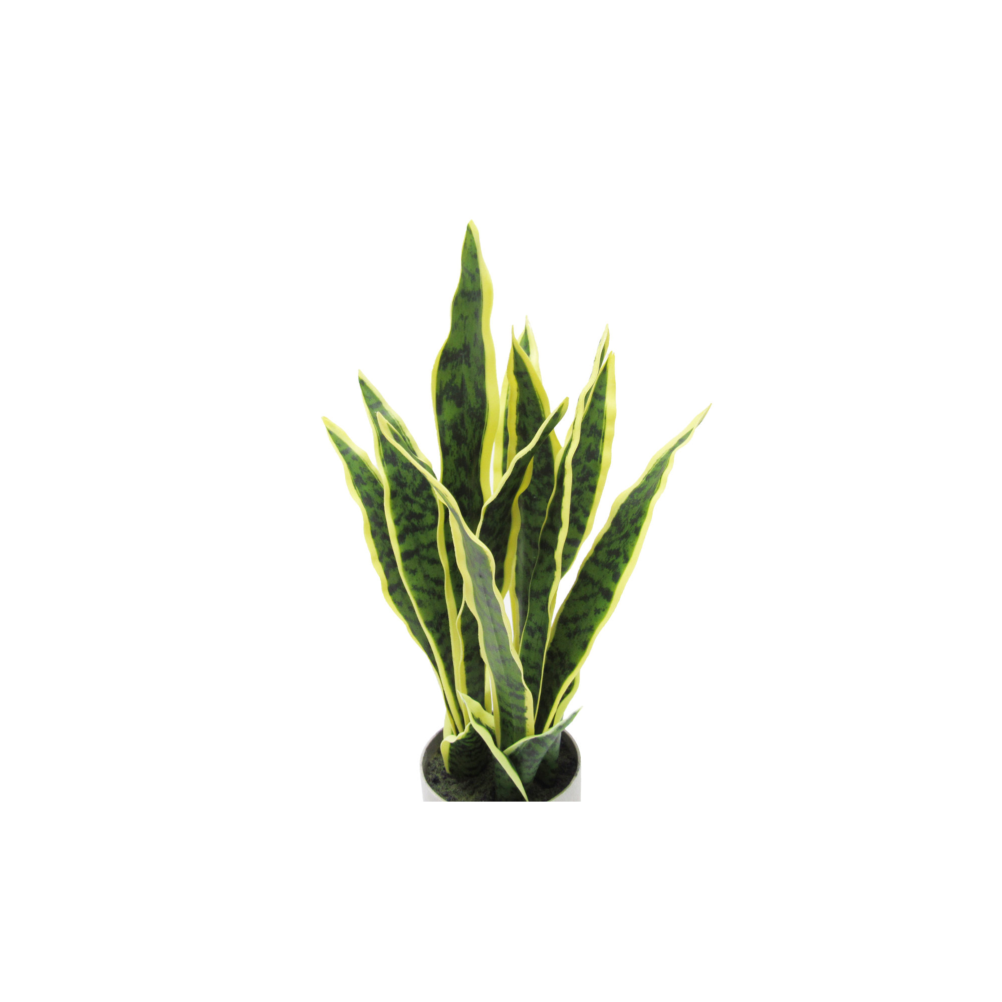Artificial Sansevieria Snake Plant in Pot, 18'' H x 9'' W x 6'' D