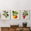Feuillage antique et fruit VI - ensemble de 3 peintures sur toile encadrées-305686316-305686315