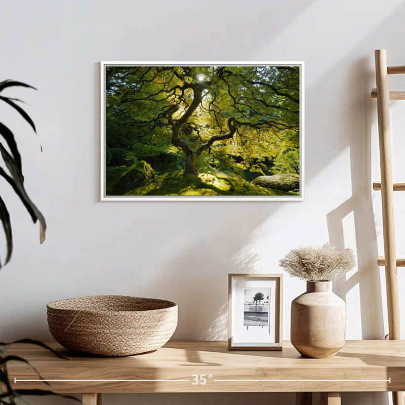 Jardin d'érable japonais, Cadre flottant blanc, 19 po x 13 po