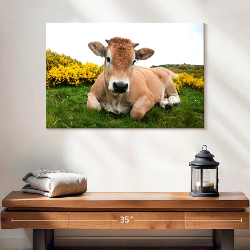 Adorable Aubrac Cow, 16" H x 24" W