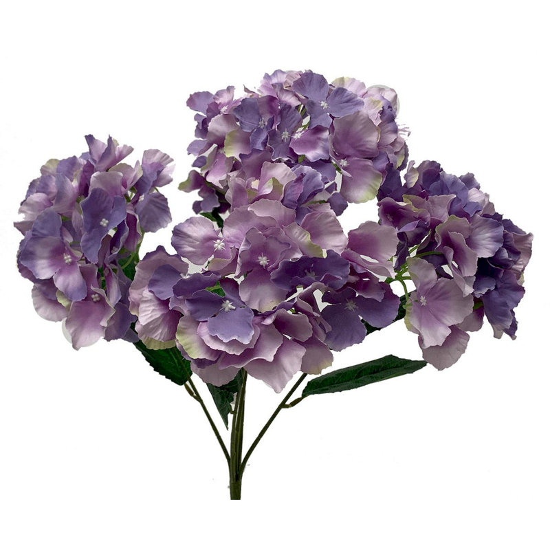 Buissons d'hortensias, Mauve