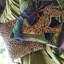 Downtown Animal Print Square Cushion