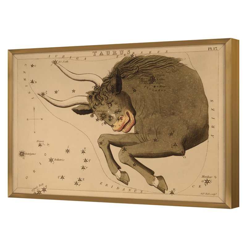 Taurus Print by Grand Archives, 32" H x 45" W, Gold Framed