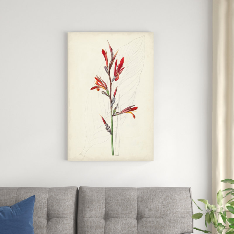 Aquarelle, croquis botaniques - peinture sur toile tendue, H 36 po x l 24 po