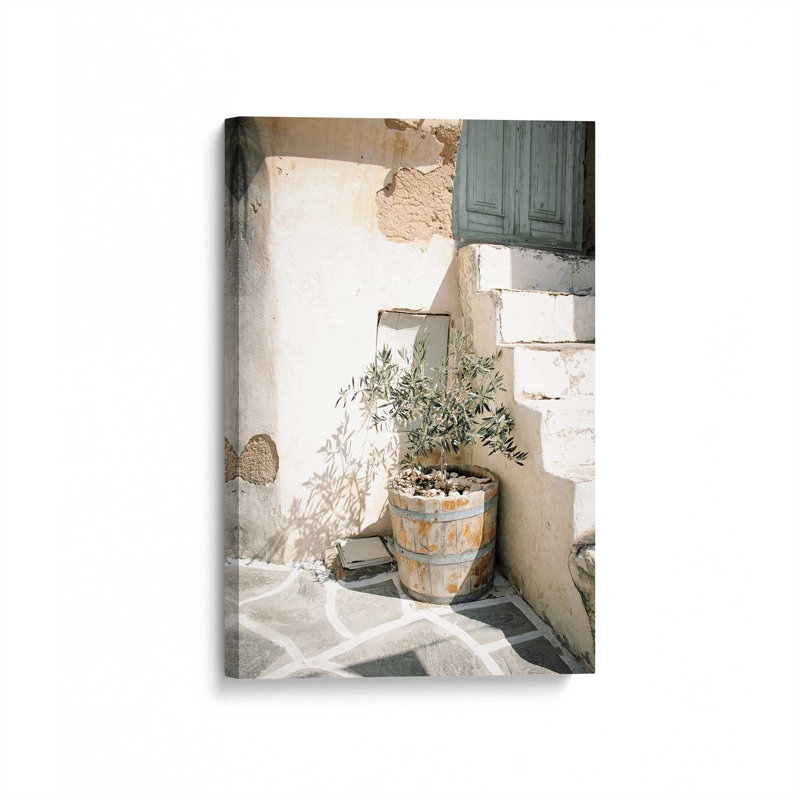 «Olive Tree in the Sun», reproduction sur toile, Toile tendue, H 30 po x l 20 po x P 1,25 po