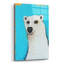 «L'ours polaire mignon» par Lucia Stewart-1773846220