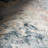 Blaire Mineral Machine Washable Rug-119633371