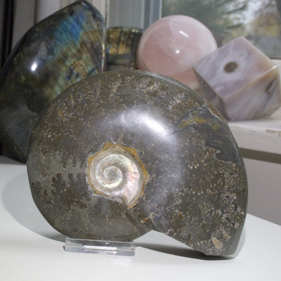 Aloisa Landscape & Nature Crystal