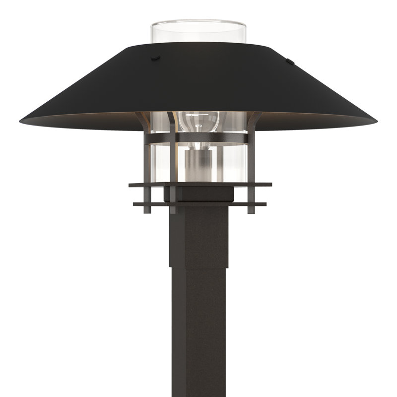 Henry 1 - Light 15.8" H Hardwired Lantern Head, Frosted, Coastal Burnished Steel, Clear