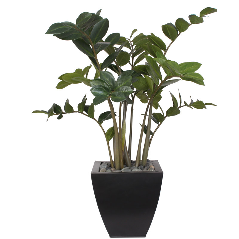 37 po H plante zz avec des cailloux noirs dans un pot en zinc noir moderne