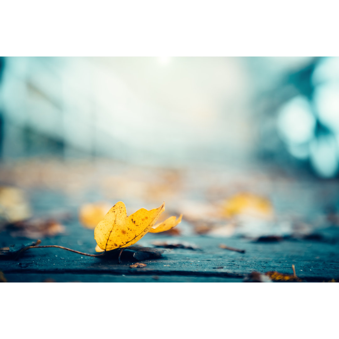 Herbstblätter auf einem Fußweg von Borchee - Drucken