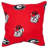 NCAA Square Pillow Cover & Insert-40855215