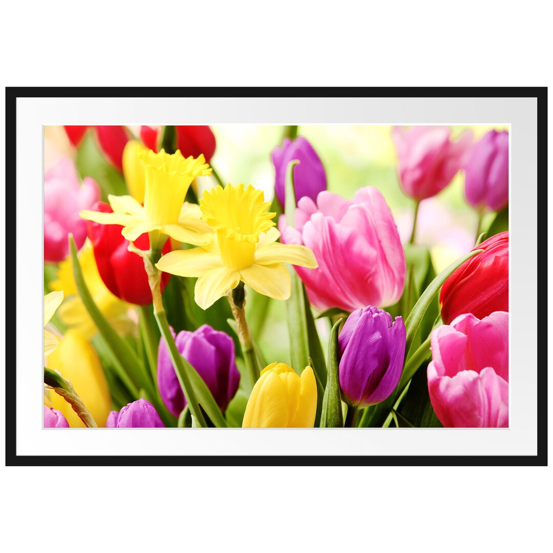 Gerahmtes Poster Osterglocken und Tulpen