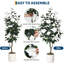 23.62cm Plant