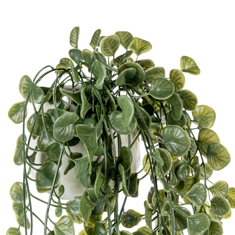 Artificial Plant