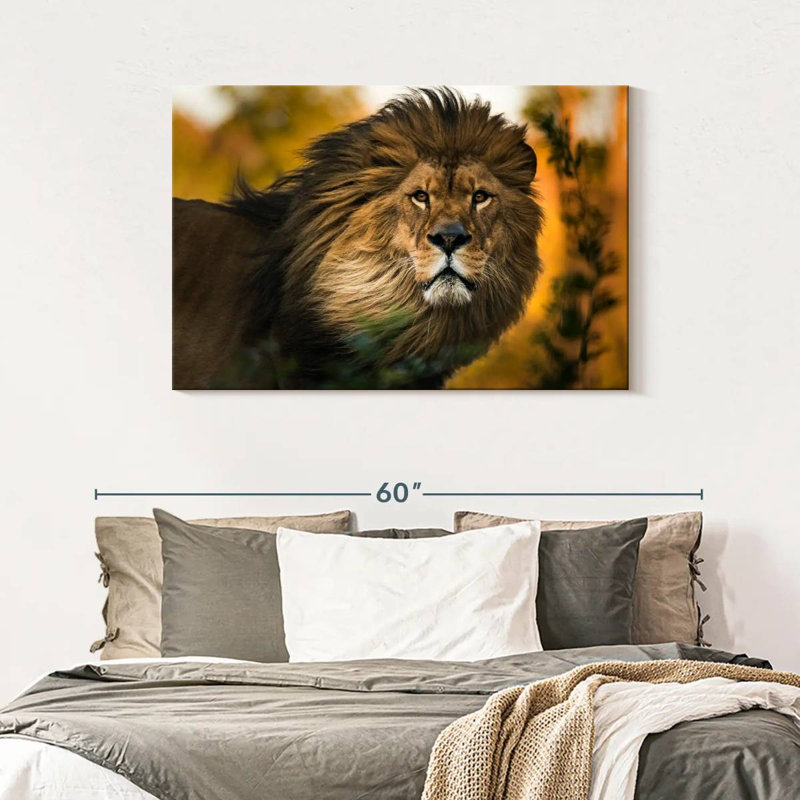 Brampt Lion Head Splendor, 30" H x 45" W