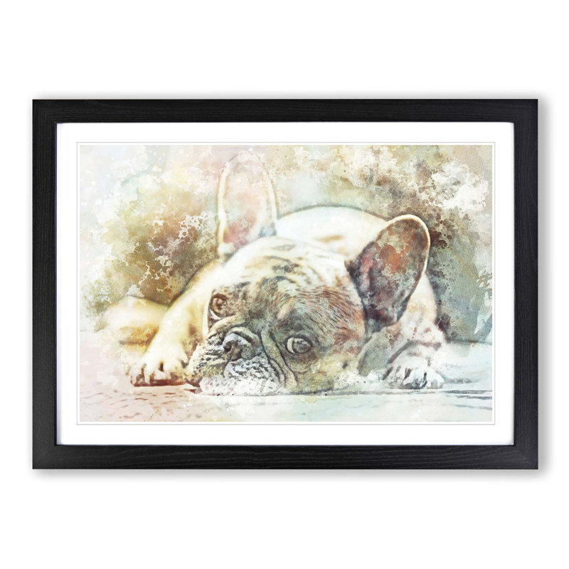Fawn French Bulldog - Picture Frame Painting Print on MDF, 50cm H x 76cm W x 2cm D, Black