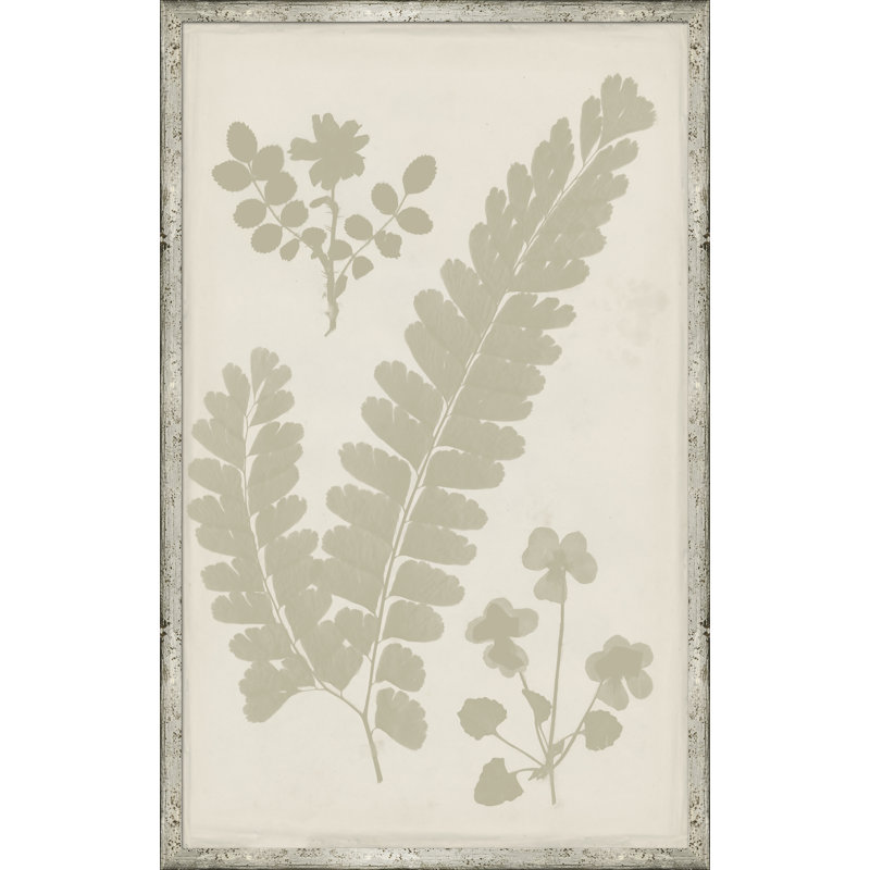 «Ghost Herbaria in Celedon», reproduction d'impression encadrée