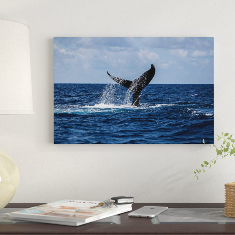 " A Humpback Whale Slaps Its Tail On The Surface Of The Atlantic Ocean " by Ethan Daniels, 8" H x 12" W x 0.75" D, No Mat
