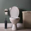 Blue Donuts Metal Toilet Brush And Holder-58917501