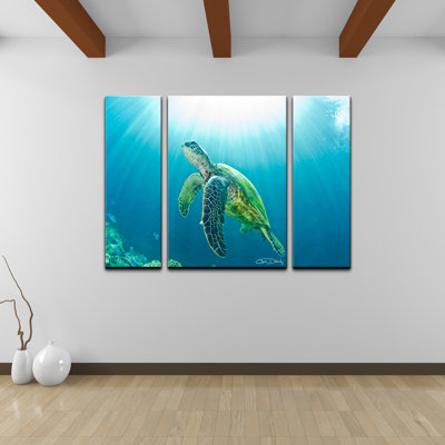 3 - Piece Canvas Art