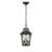 2-Light Outdoor Hanging Pendant Light