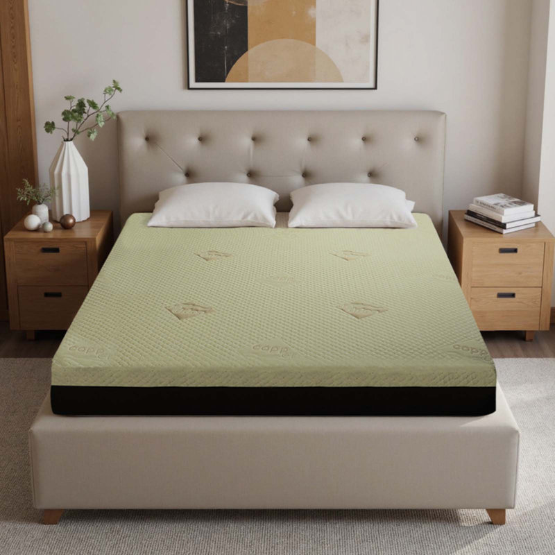 12-Inch Queen Mattress