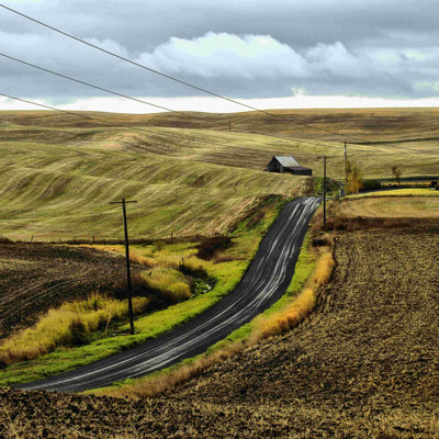 " The Road Home " by Colby Chester