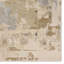 Tapis de médaillon brun clair et gris fait à la main Sandia Cit22 -1264969796