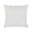 Adedapo Square Throw Cushion