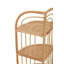 Bourbeau 46cm W Rattan Shelving Unit