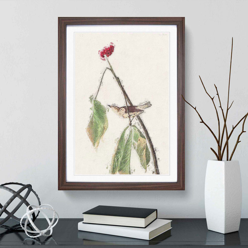Louisiana Water Thrush by John Audubon - Picture Frame Painting Print, 36cm H x 27cm W x 2cm D, Walnut Framed