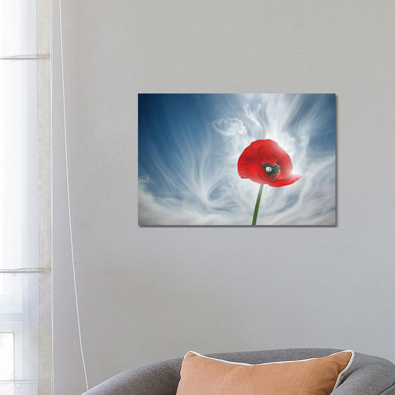 You Drive Me Crazy by Ben Heine - Floater Frame Print on Canvas, Wrapped Canvas, 66.04 cm H x 45.72 cm W x 1.91 cm D
