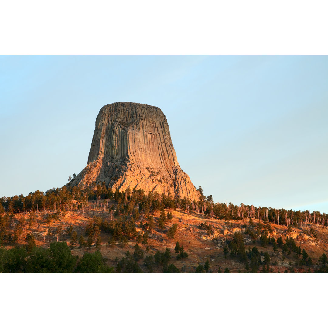 Devils Tower Natl Monument by Terryfic3D - Drucken