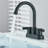 2-handle Bathroom Faucet with Drain Assembly