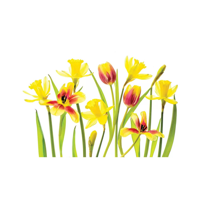 Vibrant Spring by Jacky Parker - Wrapped Canvas Print, 20.32 cm H x 30.48 cm W