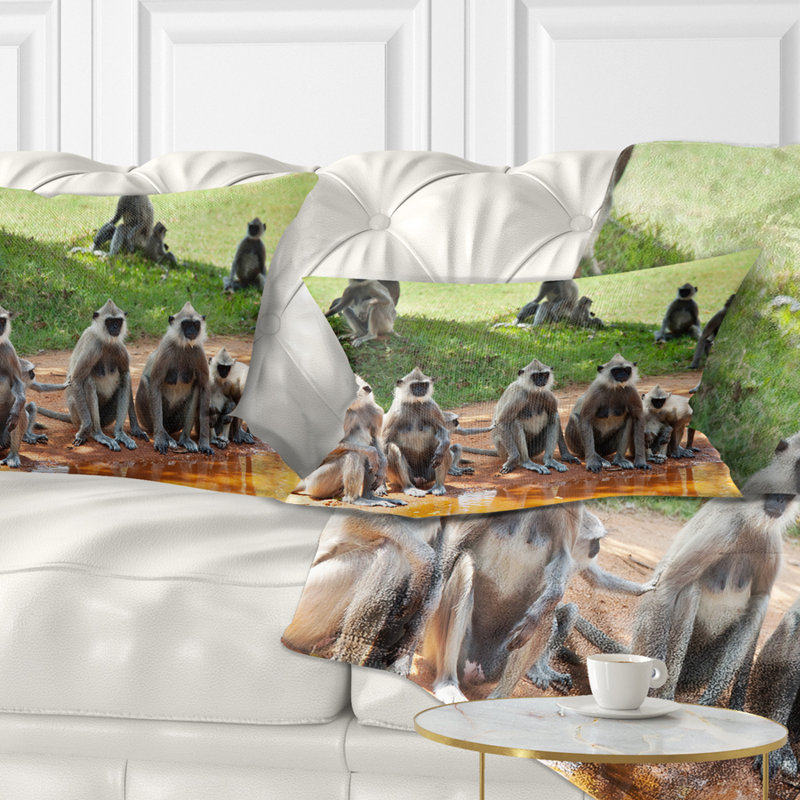 Coussins africains dans un coussin lombaire sri lanka