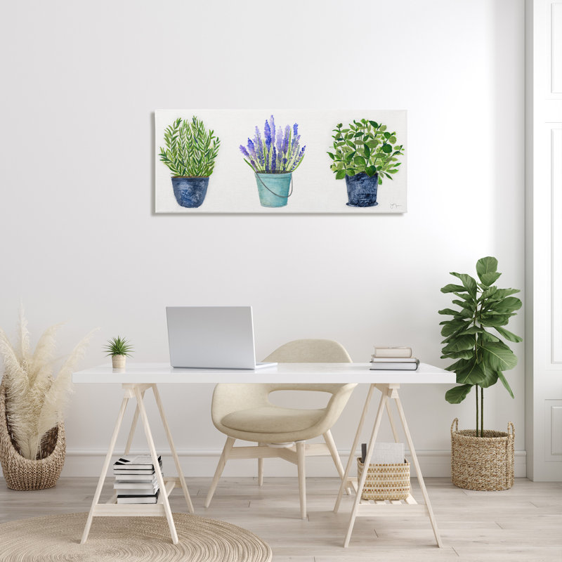 " Varied Potted Plants Herbs Country Botanical Farmhouse " by Janet Tava Painting Print, 20" H x 48" W x 1.5" D