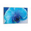 Blue Orchid III by Glauco Meneghelli - Print on Canvas-1669395846-1669395847