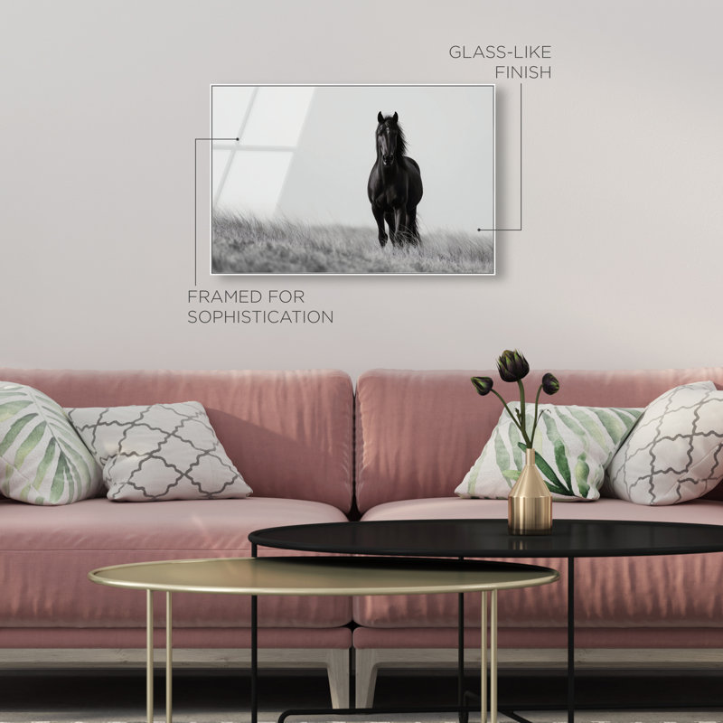 Lone Stallion I Print, 11" H x 16" W, White Floater Frame