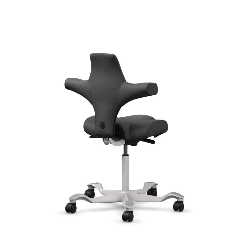 Fauteuil réglable en position assise / debout HœG Capisco, Argent argent, Sit-to-Stand, Noir onyx