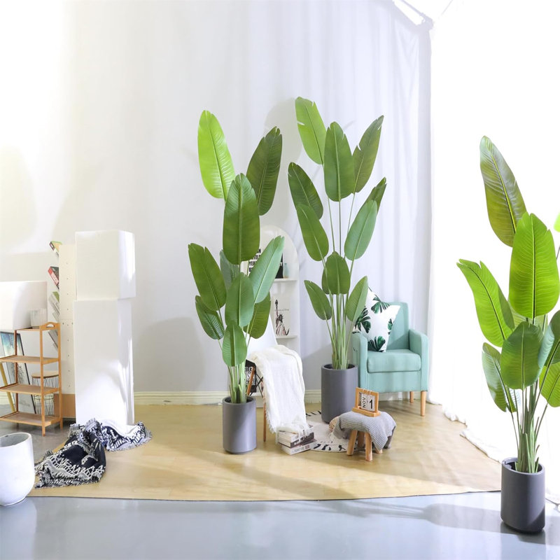 62.99cm Plant