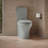 Persuade Curv Two-Piece Elongated Toilet With Skirted Trapway, Dual-Flush-106282004