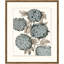 Azure Botanical 2 Print