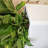 Kute Nest Elio Zen Column Fiberstone Planter - Ethereal Mood - H30"-888501569-888501571