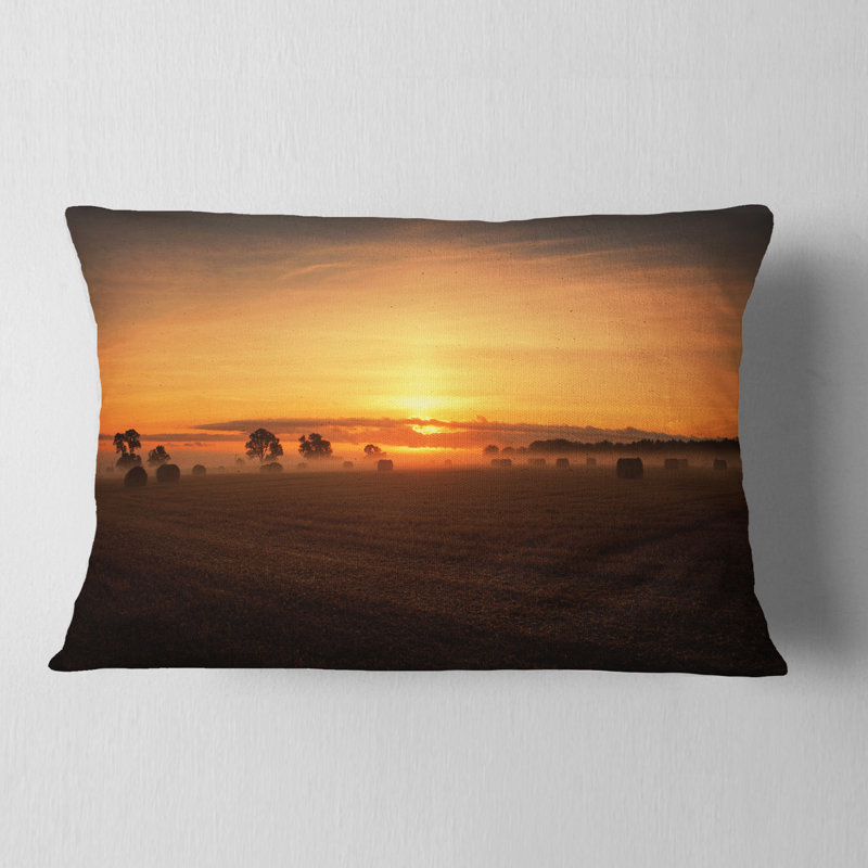 Coussin décoratif Schafer