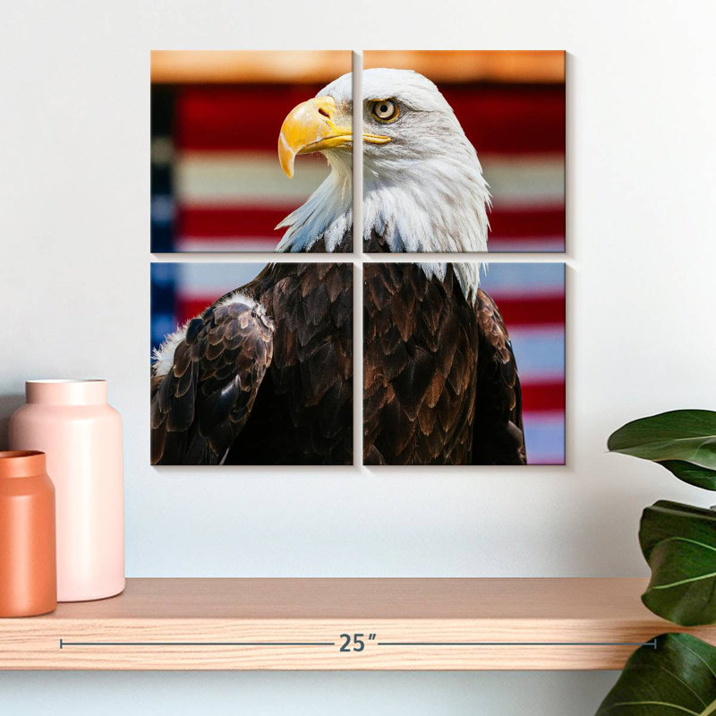Brampt Mighty US Bald Eagle, 18" H x 18" W