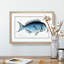 Blue Fish by M.E. Bloch - Framed Print-55687118-55687122