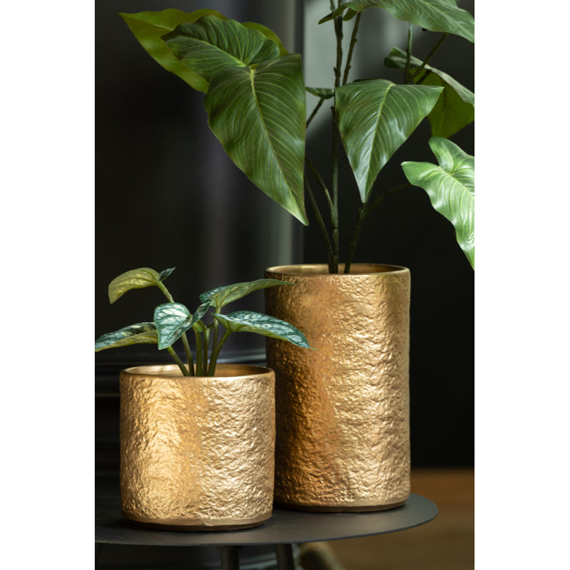 Fishel Ceramic Planter, 25cm H x 24cm W x 24cm D